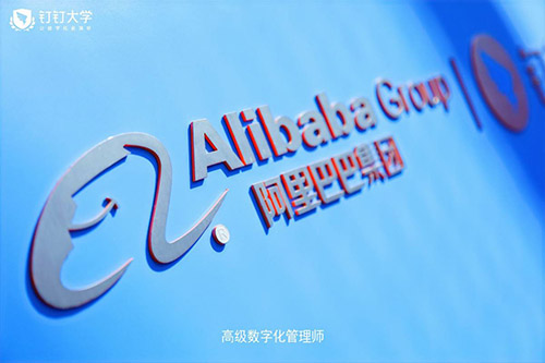 长兴钉钉大学高级数字化管理师认证培训现场拍摄